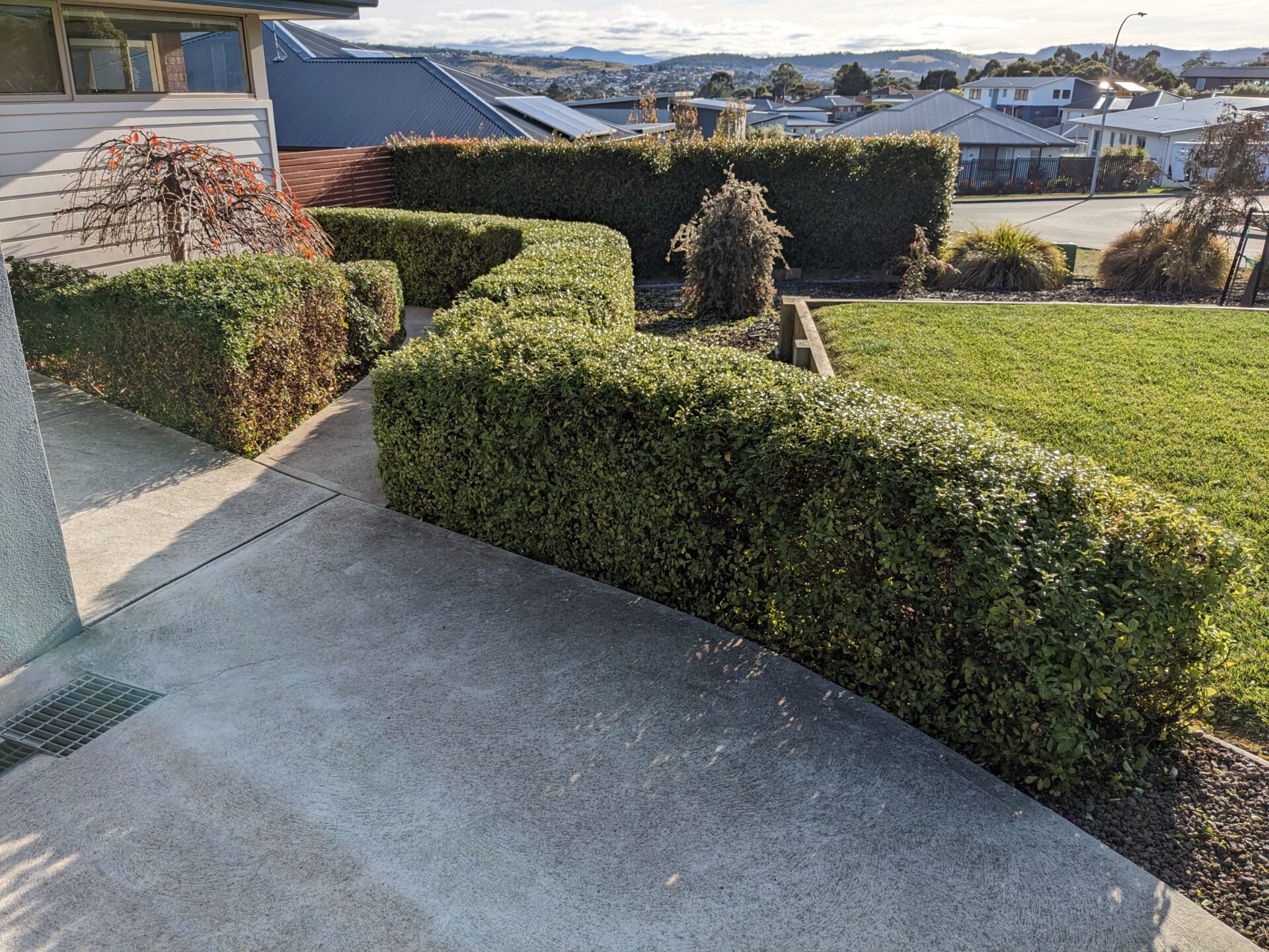 Pristine and well kept green lawn 